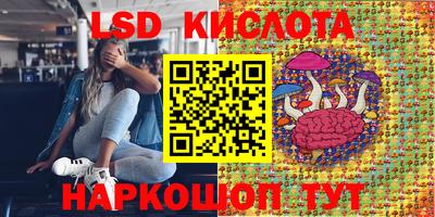 гидра Славгород