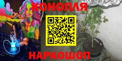 гидра Славгород
