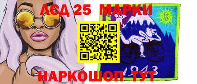 гидра Славгород