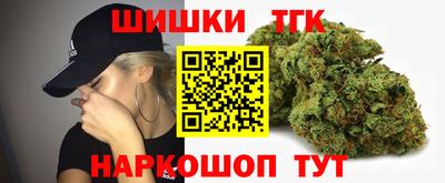 гидра Славгород