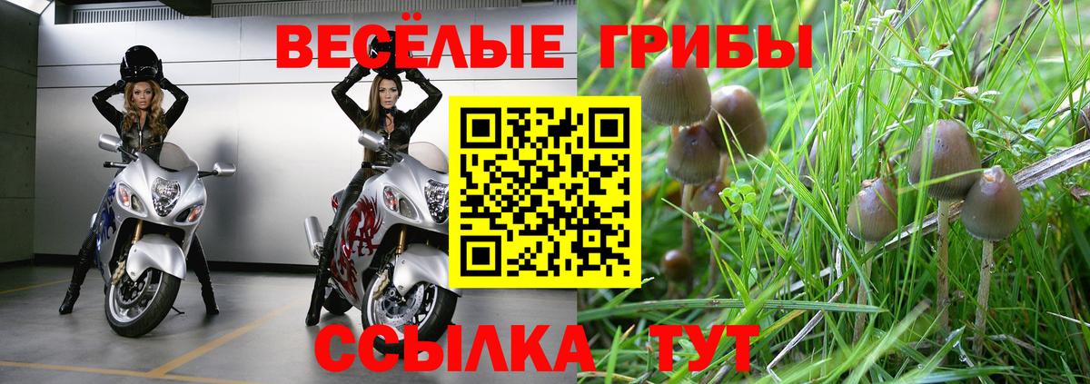 Псилоцибиновые грибы MAGIC MUSHROOMS Наро-Фоминск